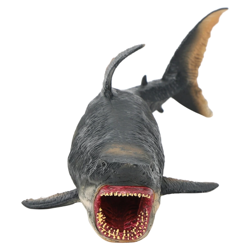 Hollow shark toy