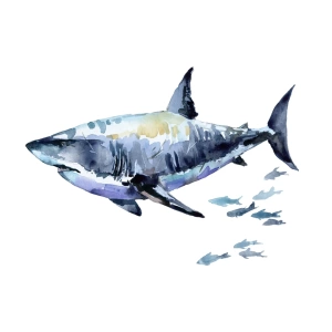 Large shark wall stickers