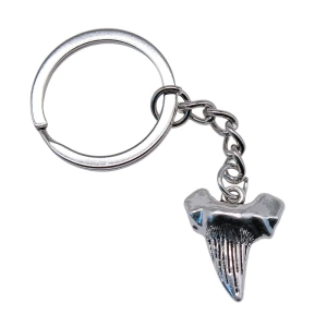 Shark tooth keychain