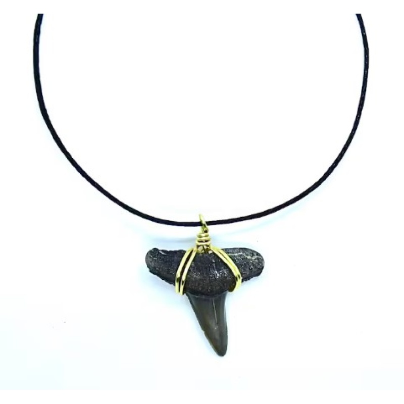 Shark tooth necklace choker