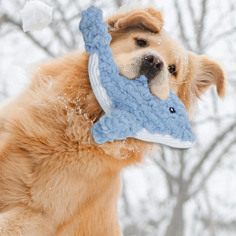 Shark toys for dogs